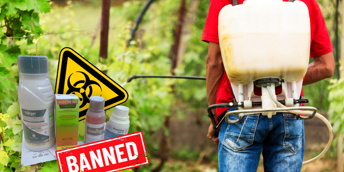 Deadly Pesticides